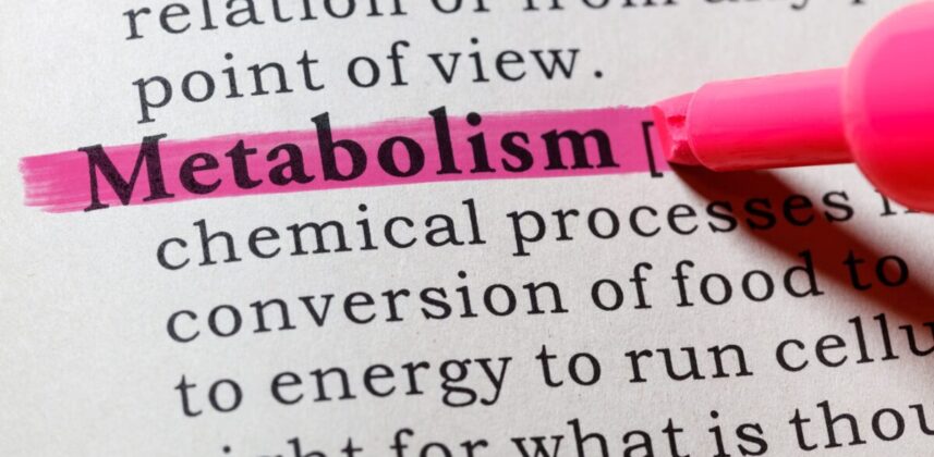 How more calories can break a weight loss drug plateau